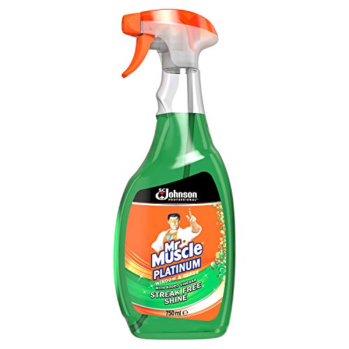 Mr Muscle Window and Glass Cleaner 750ml