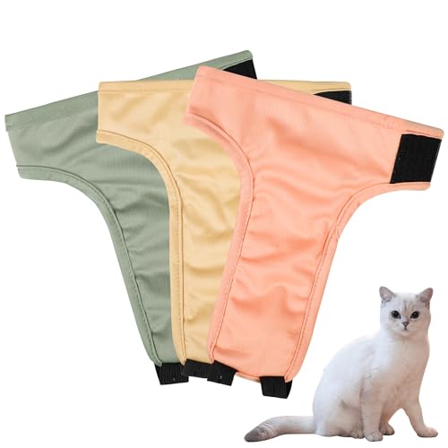 Lot De 2 Couches Réutilisables Pour Chienne – Taille M (tour De Taille 40-50 Cm) – Motifs Fruits, Très Absorbantes