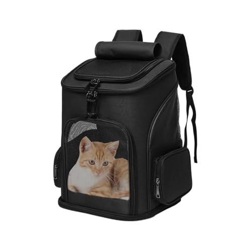 �e�͐��̂��� �q���p�X�����O - �����I�Ȍ��p���s�p�N���[�g�A�ϋv���̂���|�[�^�u���L�e�B�p�P�[�W�A��v�ȍq��b��p�O���[�~���O�o�b�O�A�m�x���e�B��s�@�p�ԗ��s�p�G���N���[�W�� |���K����ǋ������M�����̍����ۊǌ���