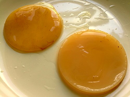 The Kefir Collection Organic Kombucha SCOBY - 7cm (3 inches) Diameter