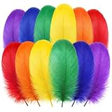 Package Includes: you will receive 600 colorful craft rooster feathers in red, yellow, blue, purple, orange, and green, 100 feathers of each color; The rich variety of feathers provides ample material for DIY crafts, party decorations, and group even...