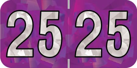 2025 Year Labels, Doctor Stuff 2025 Chart Stickers, Holographic Purple Colored, USA Made Year Label for End Tab File Folders, 500 Labels per Roll, 1