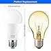 ILC Smart Light Bulb 10W (70 Watt Equivalent) Compatible with Alexa Only, 900 Lumens, Color Changing Warm White 2700K (2 Pack)