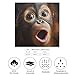 Orangutans Monkeys Big Face Silk Like Head Scarf for Women Bandana for Hair Wrapping Fashion Accessory Square Hair Scarves 18