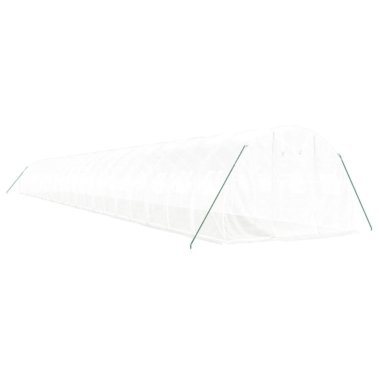 BaraSh Invernadero con Estructura de Acero Blanco 66 m² 22x3x2 m Invernadero Exterior Estructura Cubierta Invernadero