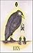 Shadowland Lenormand: (Lenormand Box Set with 36 Cards and Guide Book)
