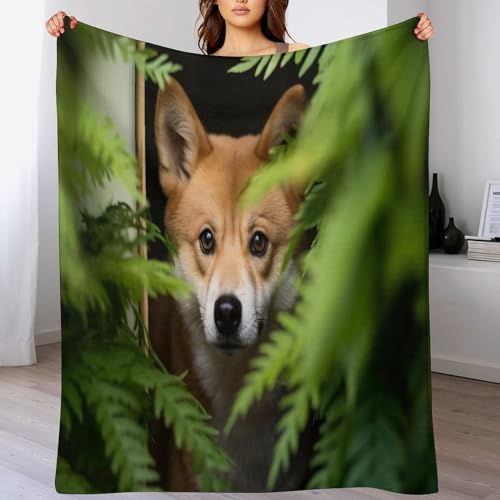 Couverture chien douce et chaude pour protéger le canapé du salon
