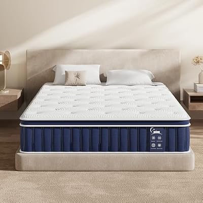 Povirt Queen Mattress 10 Inch, Hybrid Queen Mattress in a Box, Medium Firm Queen Size Bed Mattresses with Zoned Support, Memory Foam and Pocket Springs for Pressure Relief, CertiPUR-US
