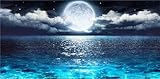 Diamond Painting Seaside Moon Diamond Art Kits 50x100cm 5D DIY Full Drill Paint By Number for Adults Arts and Crafts Accessories Cross Stitch Large Canvas Wall Art Home Decorations 20x40in W-8393