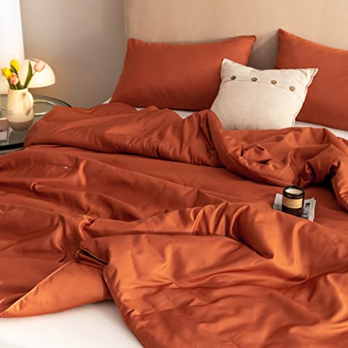 Rosgonia Terracotta Comforter Set - 3Pcs (1 Comforter & 2 Pillowcases) Rust Queen Comforter Set For Women And Men- Reversible Soft Warm Lightweight Microfiber Comforter For All Season #TOP3