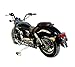 Lifan Lycan 250, V-Twin Chopper, 250cc EFI 5-Speed Manual Transmission, Dual Chrome Exhaust, LED Headlights, Digital-Analog Display, Classic Cruiser Design, Street Legal Motorcycle, 2YR WRNTY