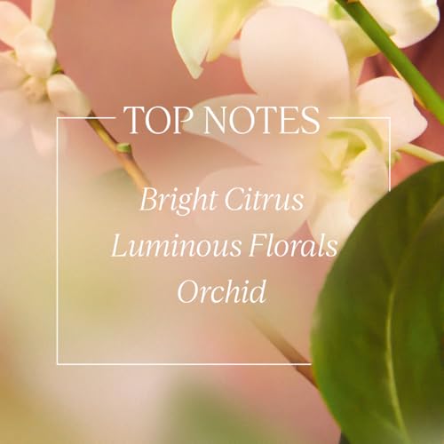 Image of L'Occitane Neroli & Orchidee Shower Gel (Travel Size) (Pack of 2)