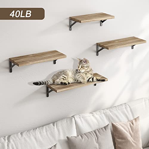 Ygeomer Floating Shelves, Rustic Wood Shelves, 4 Sets Of Wall Mounted Shelf For Bathroom Decor, Bedroom, Living Room And Plants (Carbonized Black) #TOP4
