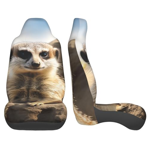 Housses de siège voiture suricate : lot de 2 protections lavables