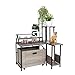 Hidden Litter Box Furniture Enclosure, Wooden Pet Washroom for Home,DecorDual Purpose,Cat Litter Cabinet with Pull-Out Tray & Plant Stand,