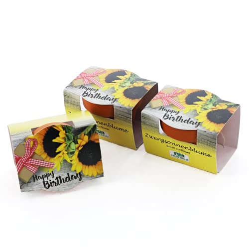 Bull & Bear 3er Set Mini Pflanzset 'Happy Birthday', Blumensamen im Topf 4,5cm, Mini Sonnenblume als Anzuchtset mit Pflegeanleitung