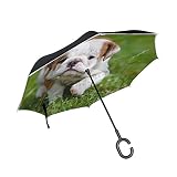 hengpai Parapluie inversé inversé pour chien ou chiot Bulldog Course à pied avec herbe verte Double couche coupe-vent et anti-UV pour femme