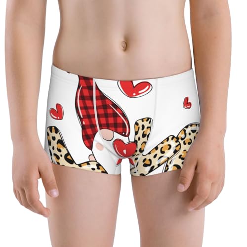 Boys' Cotton Boxer Brief Soft Underwear-Love Gnomes