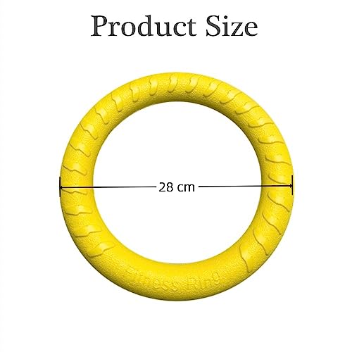 JINRETUTE Fly Ring Toy Fitness Ring Floating Flying Disc Toys Outdoor Durable Chew Toys for Training Playing Puppy Medium Large Dogs (D28) - Image 4