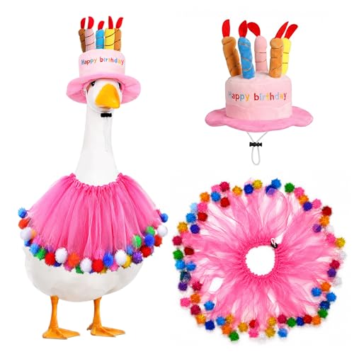 Happy Birthday Goose Outfit Porch Goose Outfits Cake Hat and Tutu Collar