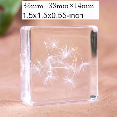 Image of 12pcs Nature Plant Flowers Specimen in Resin Preserved, Science Educational Classroom Specimens, Clear Crystal for Closer-Look & Study. Novelty Crafts Decor Ornament, Amazing Gift (1.5x1.5x0.55-inch)