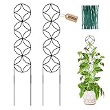 OYOEETD 24IN Outdoor Plant Trellis for Climbing Plants,Small Metal Garden Trellis for Potted Plants,Plant Stakes for Indoor Plants Accessories Hoya,Flower,Plant Support,Plant Gifts (24IN-Coin)