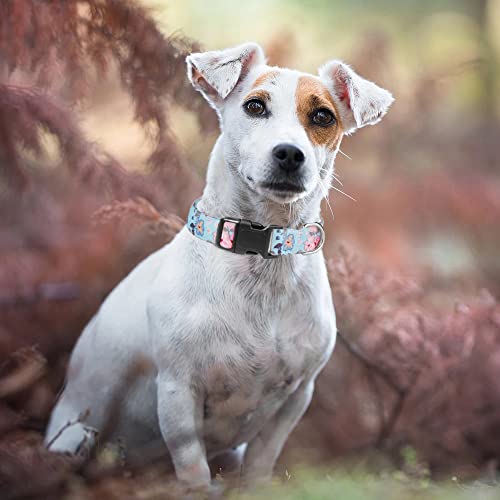 Moonpet Dog Collars for Puppy X-small Small Medium Large Dogs - Image 4