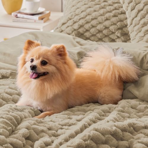 Image of BEDELITE Fluffy Twin /Twin XL Comforter Set, Taupe Bed Set 2 Pieces