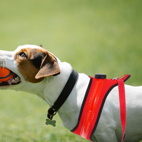 Chaleco luminoso LED para perros ajustable de nylon con batería USB integrada 6