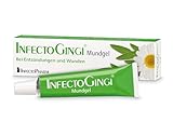 INFECTOGINGI Mundgel 6 g