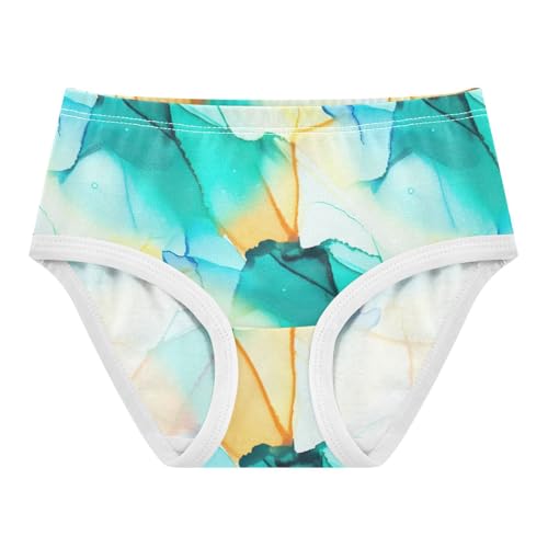 Joisal Personalized Girls Underwear Toddlers 2t Cotton Cute Panties Girl Chic Watercolor Blue Gradient Briefs Kids Undies
