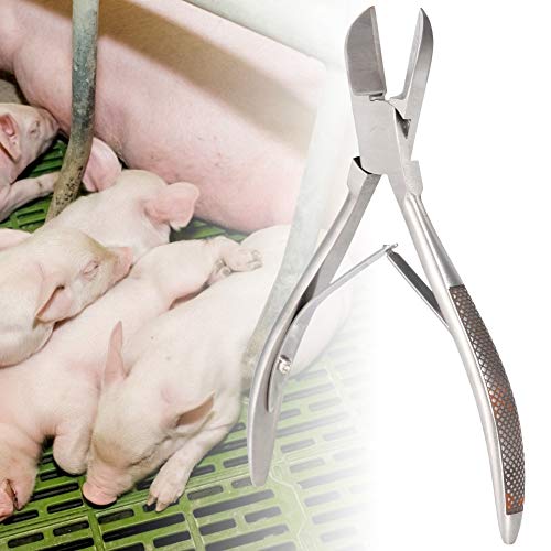 Jadpes Pig Piglet Teeth Clipper Pinzette, Edelstahl Zahnschneider Schere für Hund Ferkel Elbow Clipper Pinzette mit Pig Catcher für Paparazzi Elbow Shrapnel und Pig Catcher(14cm)