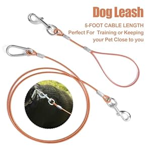 Chew Proof Dog Leash,5 Ft Tie Out Cable with Detachable Short Dog Leashes Handle,Non Chew Cable Braided Cord Steel Training Dog Leash for Teething Puppies Small Medium and Large Dogs