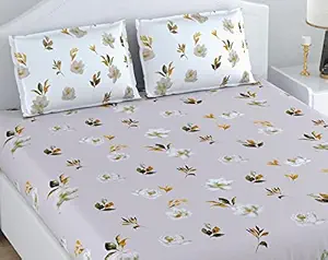 LORETO 186 TC Printed Cotton Bedsheet for Double Bed with 2 Pillow Covers - Quill Grey