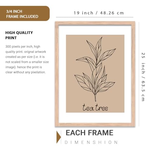 Image of HOTHOUSE Botanical Wall Art Painting |Poster With Frame Wall Decoration Wall Paintings For Home Decor | Frames For Home Decor Office Living Room | Set of 3 (19X25 inch)