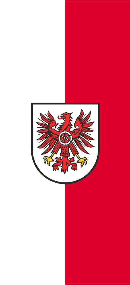 Drapeau XL Eichsfeld Allemagne grand format de district de Thuringe