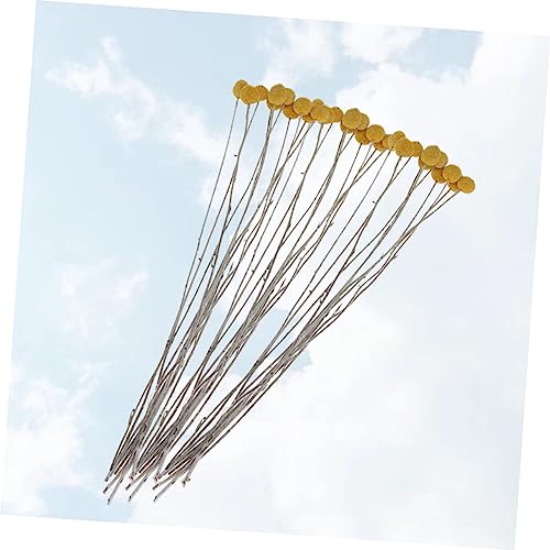 20 flores secas Craspedia para decoración y eventos miniatura 3