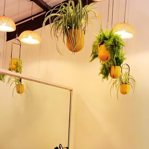 Image of Indian Discovery Self Watering Ceiling Hanging Planter|Hanging /Hooked Flower Pots for Home, Balcony, Terrace, Garden Decor Flower Pots(1 Pcs, Yellow, Sphere)|6 Inch UV-Resistant Plastic Plant Pots