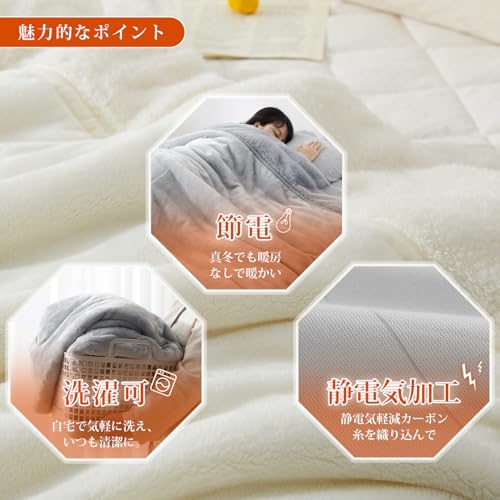 クモリ(Kumori) 2枚合わせ 厚手 毛布 シングル の商品画像 6