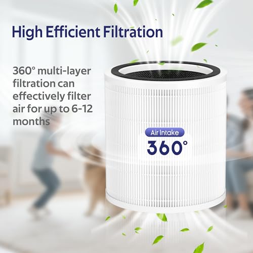 Filtre Core 400S contre odeurs et poils animaux pack double rechange