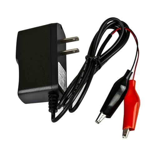 Chargeur 6V batterie plomb-acide ExpertPower avec charge intelligente automatique