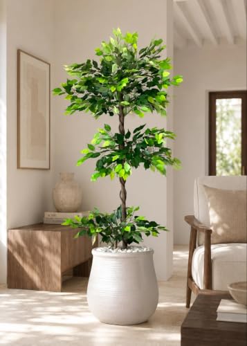 Image of Artificial Ficus Plant with Pot | 180 cm (6 ft) Tall | Premium Realistic Indoor Decorative Tree for Home, Office & Commercial Spaces