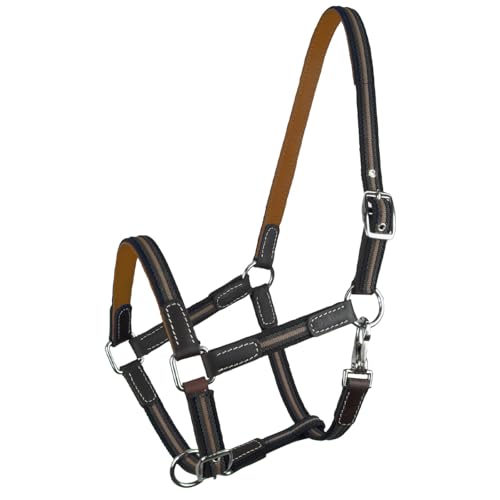 Brama West Licol de cheval Ruby - 2 positions réglables - Avec cuir - Licol en saule - Orange - Taille Cob