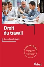 Download Droit du travail PDF