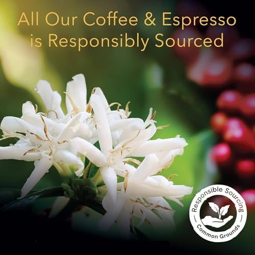 L'OR Coffee Pods, 30 Count Chateau Medium Roast Blend, Single-Serve Aluminum Coffee Capsules Compatible with the L'OR BARISTA System, 30 Count (Pack of 3)