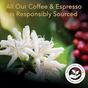 Loronyxespressopodscompatiblewithnespressomachineoriginallinelorbaristasystem100aluminumcoffeepodsintensity1210countpackof10 Urban Country Home Decor Lor onyx espresso pods compatible with nespresso machine original line lor barista system 100 aluminum coffee pods intensity 12 10 count pack of 10 urban country home decor