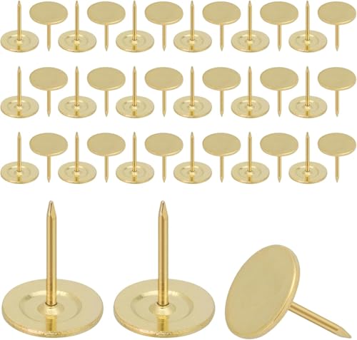 Drawing Pins Gold Thumb Tacks: 100pcs Heavy Duty 11x17 MM Flat Push Pins for Wall Carpet Furniture Sofa - Metal Thumb Tacks for Wood Pinboard Office School Crafts DIY