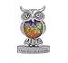 Ganz Home Decor Love, Luck & Happiness 1.5 in Blessings Figurines Owl-ER48182