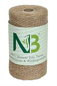 Modenna NSB01 2-Ply Strong Natural Jute Twine String Rope Roll, 820 ft/250 m