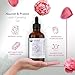 HBNO Organic Camellia Oil - Huge 4 oz (120ml) Value Size - USDA Certified Organic Camellia Oil, Cold Pressed Carrier Oil for Face, Body, Lips, Nails, Shampoo & Conditioner